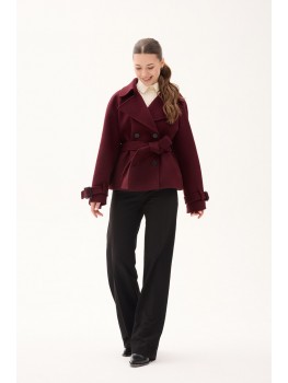 Д-054 фенікс марсал