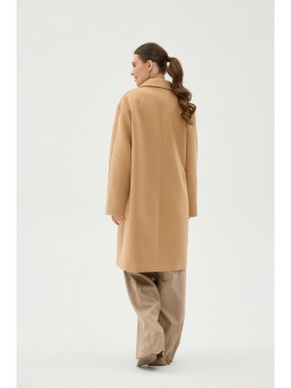 Д-069 кемел  (AST)