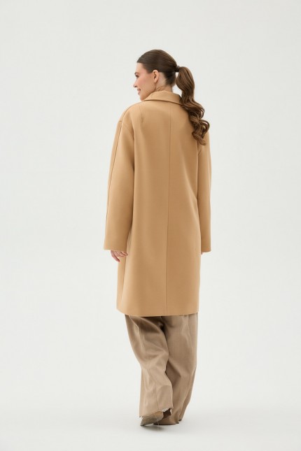 Д-069 кемел  (AST)