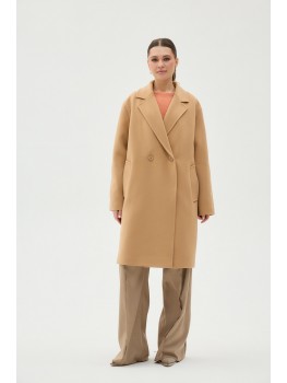 Д-069 кемел  (AST)