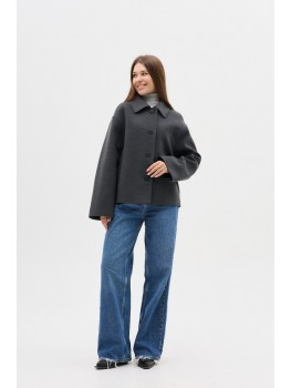 Д-091 фенікс графіт