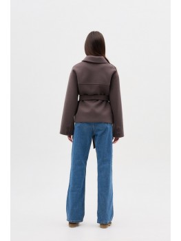 Д-091 фенікс візон