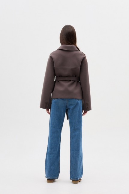 Д-091 фенікс візон