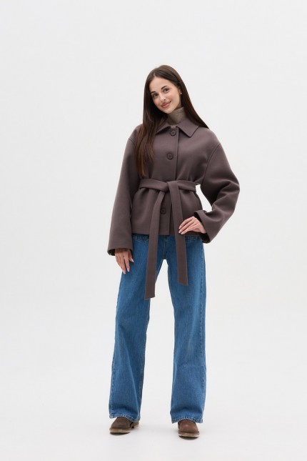 Д-091 фенікс візон