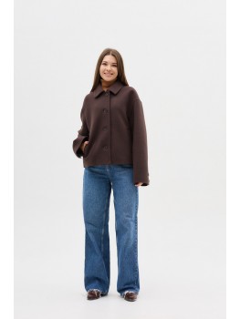 Д-091 фенікс шоколад