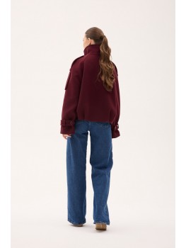 Д-097 фенікс марсал