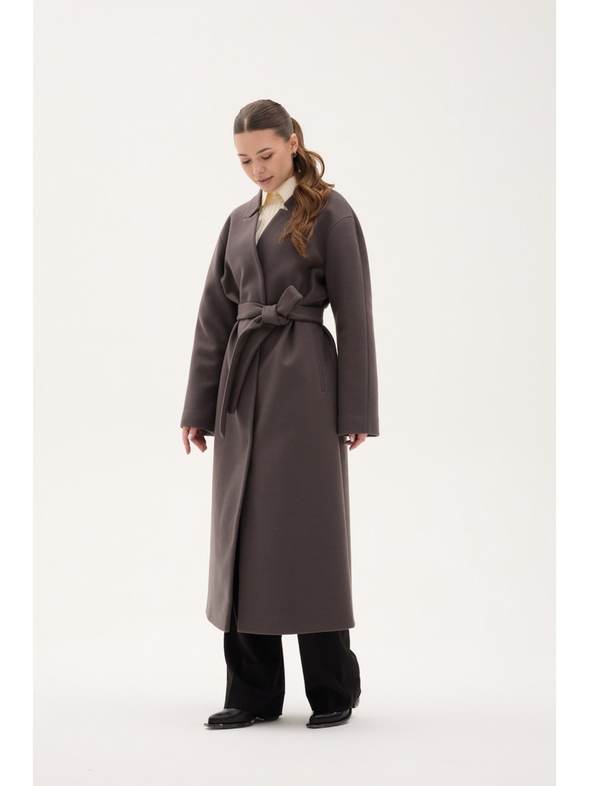 Д-101 фенікс візон