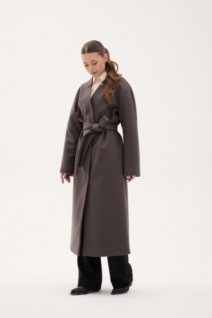 Д-101 фенікс візон